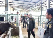 Badan Karantina Indonesia Siapkan Satgas 24 Jam untuk Mengawasi Lalu Lintas Hewan Kurban