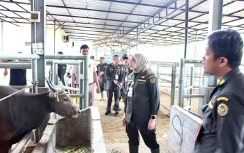Badan Karantina Indonesia Siapkan Satgas 24 Jam untuk Mengawasi Lalu Lintas Hewan Kurban