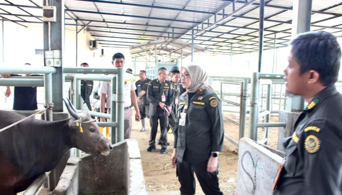 Badan Karantina Indonesia Siapkan Satgas 24 Jam untuk Mengawasi Lalu Lintas Hewan Kurban