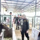 Badan Karantina Indonesia Siapkan Satgas 24 Jam untuk Mengawasi Lalu Lintas Hewan Kurban