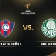 Cerro Porteno vs Palmeiras: Persaingan Sengit di Copa Libertadores