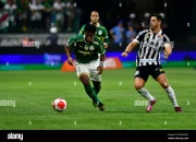 Derby Lincah di Allianz Arena: Palmeiras vs Santos Berujung Imbang 1-1, Gap Poin Terus Membesar