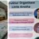 Diyah Kusumastuti Ternyata Ketua Yayasan Daycare Little Aresha yang Terjerat Kasus Korupsi dan Kekerasan Anak