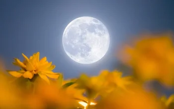 Flower Moon 2 Mei 2026: Waktu Terbaik, Cara Mengamati, dan Dampak Astronomis di Indonesia