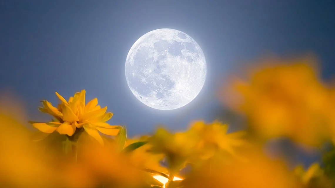 Flower Moon 2 Mei 2026: Waktu Terbaik, Cara Mengamati, dan Dampak Astronomis di Indonesia