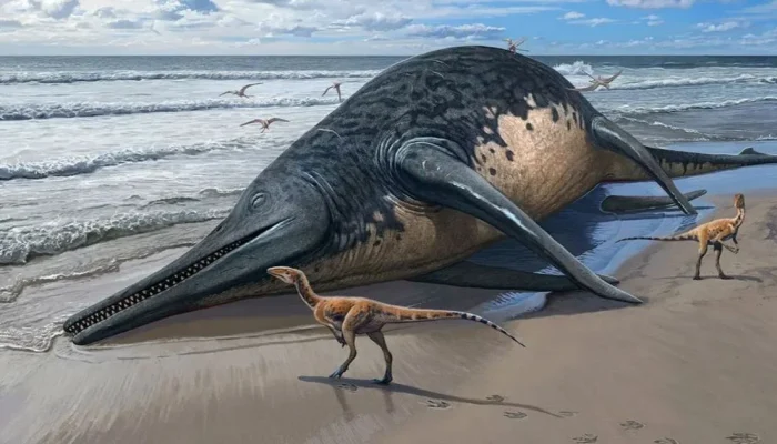 Fosil Raksasa 19 Meter: Nanaimoteuthis, Pemangsa Puncak Cretaceous yang Mengguncang Dunia Paleontologi