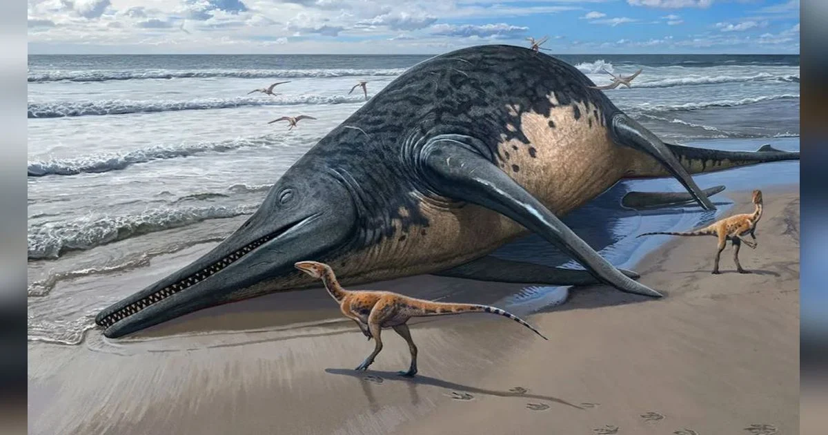 Fosil Raksasa 19 Meter: Nanaimoteuthis, Pemangsa Puncak Cretaceous yang Mengguncang Dunia Paleontologi