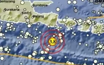 Gempa Bumi di Bali: Informasi Terkini dan Dampaknya