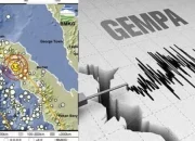 Gempa Hari Ini: Guncangan di Gayo Lues Aceh dan Jember Jawa Timur