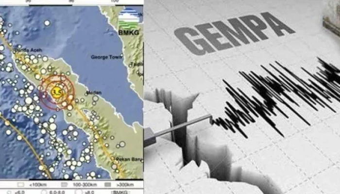Gempa Hari Ini: Guncangan di Gayo Lues Aceh dan Jember Jawa Timur