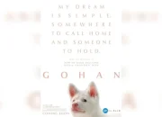 Gohan: Kisah Anjing yang Menghangatkan Hati dan Mengajarkan Kehidupan
