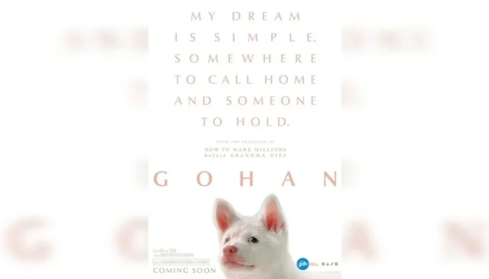 Gohan: Kisah Anjing yang Menghangatkan Hati dan Mengajarkan Kehidupan