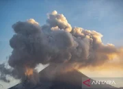 Gunung Merapi Memuntahkan Awan Panas Usai Hujan Lebat, Evakuasi Darurat Digerakkan