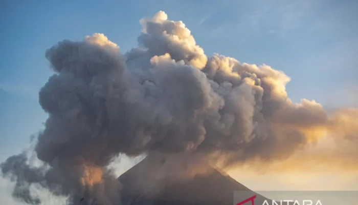 Gunung Merapi Memuntahkan Awan Panas Usai Hujan Lebat, Evakuasi Darurat Digerakkan