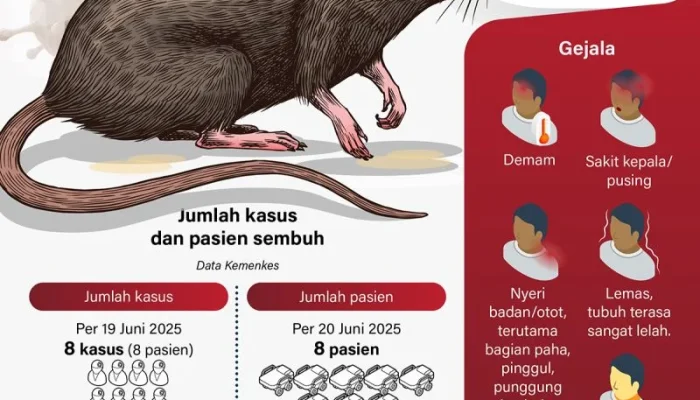 Hantavirus di Taiwan: Fakta dan Mitos