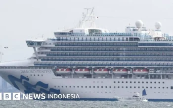 Hantavirus Muncul di Kapal Pesiar, Apa yang Terjadi?