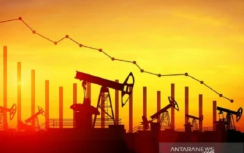 Harga Minyak Dunia Turun Setelah Trump Membatalkan Rencana Serangan ke Iran