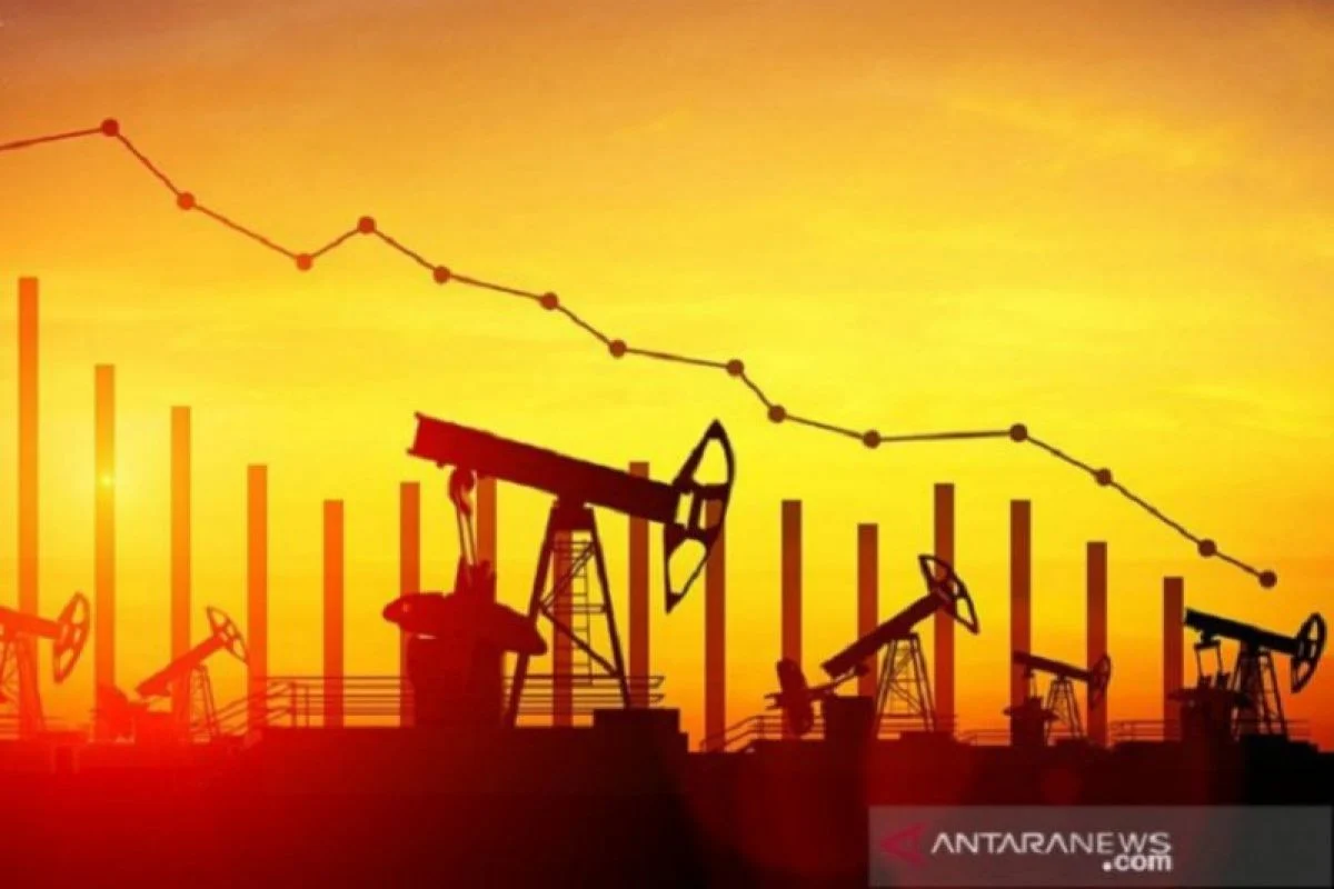 Harga Minyak Dunia Turun Setelah Trump Membatalkan Rencana Serangan ke Iran