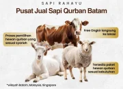 Harga Sapi Kurban 2026: Antara Kebutuhan dan Kepedulian Sosial