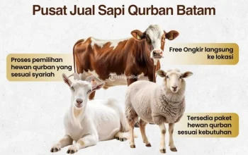 Harga Sapi Kurban 2026: Antara Kebutuhan dan Kepedulian Sosial