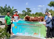 Iduladha 2026: Pertamina Berbagi Lebih dari 4.400 Hewan Kurban dan Mengoptimalkan Operasional