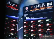 IHSG Turun Tipis 0,56%: Antara Koreksi dan Pertumbuhan Pasar