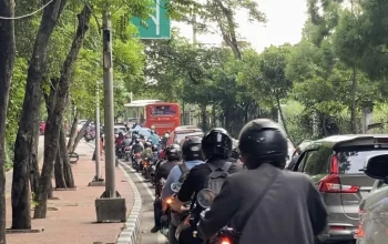 Jalan Raya Lenteng Agung Ambles, Ini Kronologi dan Dampaknya