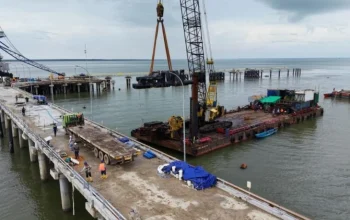 Jhonlin Group: Proyek Food Estate Wanam Papua Selatan untuk Ketahanan Pangan