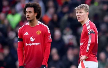 Joshua Zirkzee dan Masa Depan Manchester United: Analisis dari Berbagai Sudut