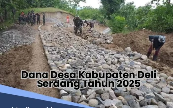Kabupaten Deli Serdang Menghadapi Tantangan dan Perubahan
