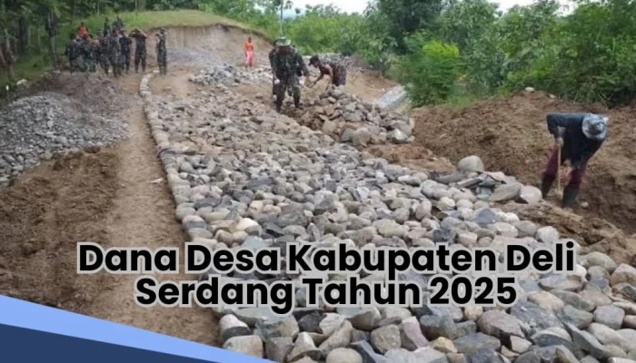 Kabupaten Deli Serdang Menghadapi Tantangan dan Perubahan