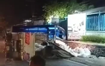 Kecelakaan Maut di Pasuruan: Bus Tabrak Truk Pakan Ayam, 12 Orang Luka