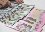 Kurs Rupiah Melemah, Tembus Rp 17.500 per USD: Dampak dan Proyeksi