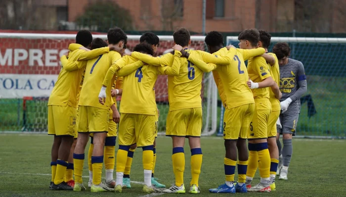 Modena FC dan Berita Terkini Lainnya