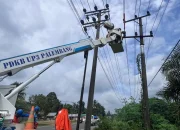 Muara Bungo Mengalami Pemadaman Listrik, PLN Dikecam karena Kualitas Jaringan yang Rendah