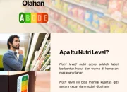 Nutri-Level: Inisiatif Kementerian Kesehatan untuk Memerangi Obesitas dan Diabetes di Indonesia