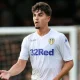 Pascal Struijk: Bintang Pertahanan Leeds United yang Siap Mengukir Sejarah di Akhir Musim