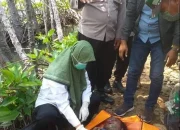 Pembocoran Hasil Ujian dan Temuan Mayat di Riverton: Berita Terkini