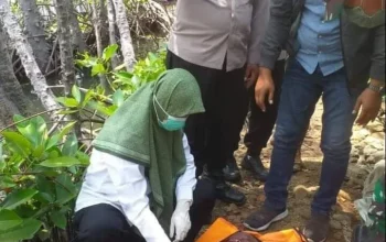 Pembocoran Hasil Ujian dan Temuan Mayat di Riverton: Berita Terkini