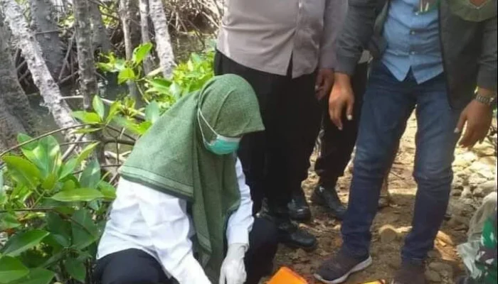 Pembocoran Hasil Ujian dan Temuan Mayat di Riverton: Berita Terkini