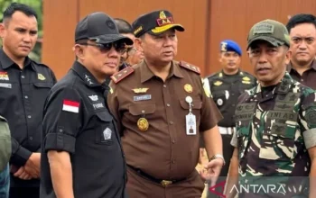 Pemerintah Pastikan Tidak Ada PHK Massal Terhadap PPPK