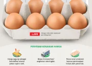 Pemerintah Pusing Harga Telur Terlalu Murah