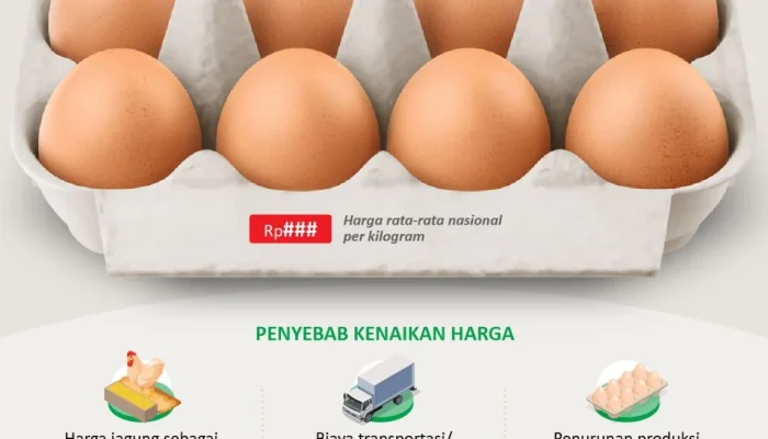Pemerintah Pusing Harga Telur Terlalu Murah