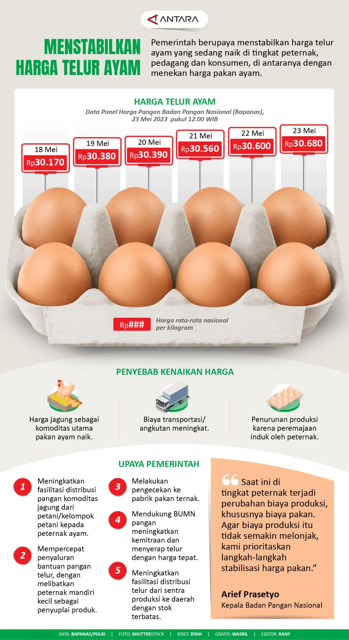 Pemerintah Pusing Harga Telur Terlalu Murah