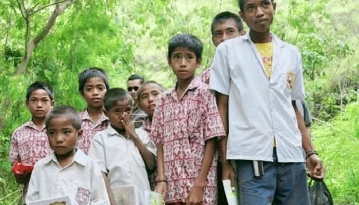 Pendidikan di Papua Pegunungan: Rata-rata Lama Sekolah Penduduk Jayawijaya Capai 6,15 Tahun