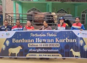 Pertamina Berbagi Lebih dari 4.400 Hewan Kurban pada Hari Raya Idul Adha 2026
