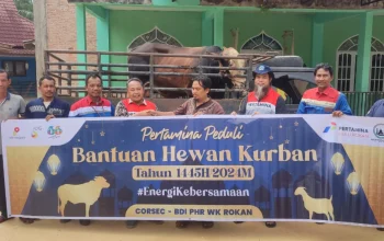 Pertamina Berbagi Lebih dari 4.400 Hewan Kurban pada Hari Raya Idul Adha 2026