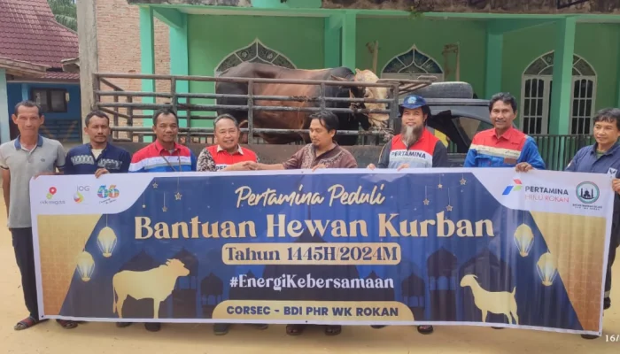Pertamina Berbagi Lebih dari 4.400 Hewan Kurban pada Hari Raya Idul Adha 2026