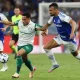 Pertandingan Sengit Palmeiras vs Cruzeiro Berakhir Imbang