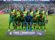 Pertandingan Unik: Ireland vs Grenada, Berikut Info Menariknya
